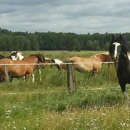 Doppelbettzimmer Auf Bauernhof In Naturalleinlage 3*