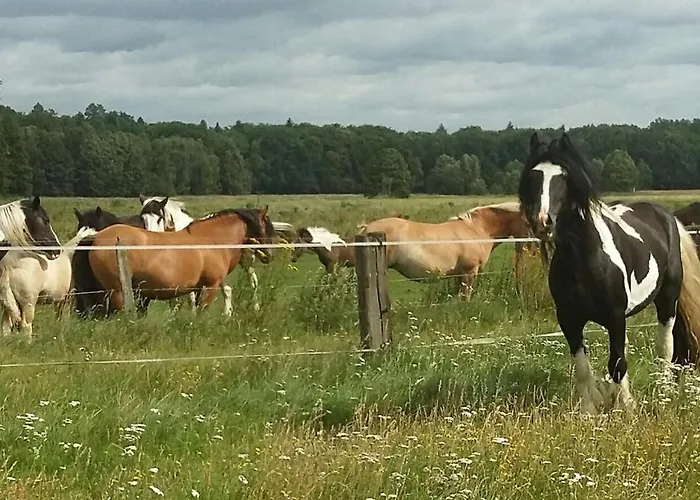 Doppelbettzimmer Auf Bauernhof In Naturalleinlage 3*